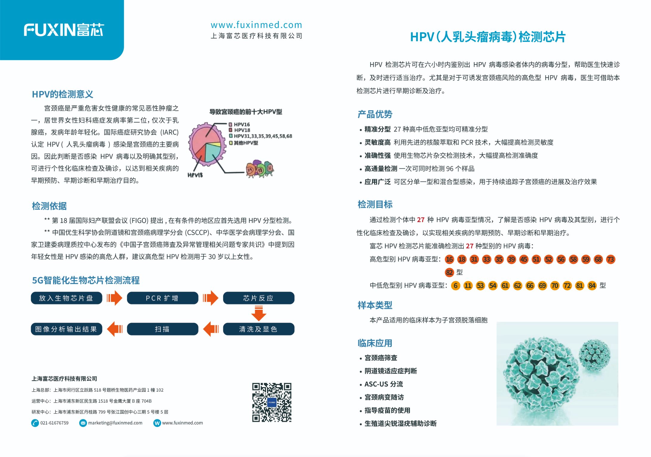 HPV（人乳頭瘤病毒）檢測生物芯片